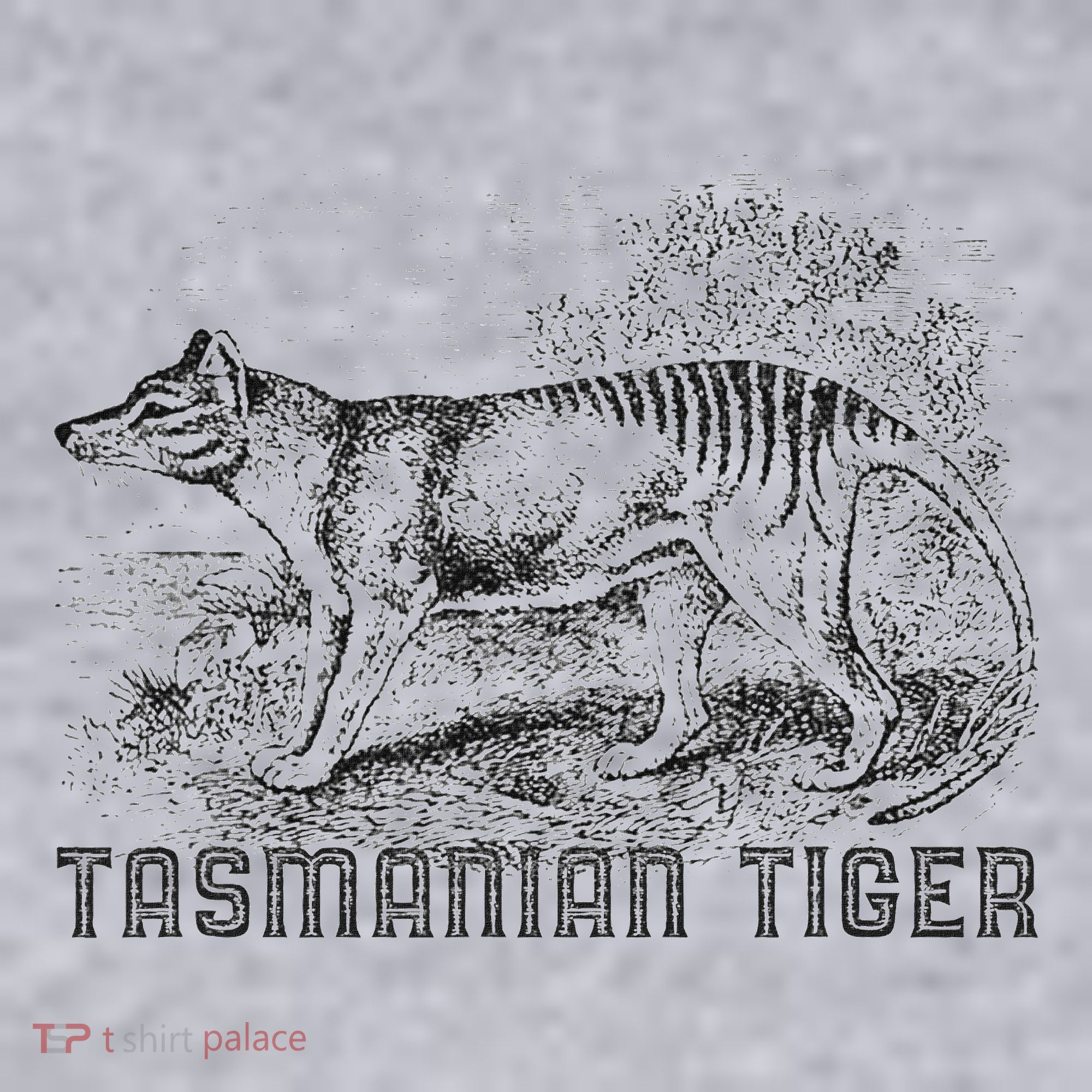 Tasmanian Wolf Tiger Thylacine Australian Extinction Gift Women's Sweatshirt