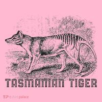 Tasmanian Wolf Tiger Thylacine Australian Extinction Gift Coaster thumb 2