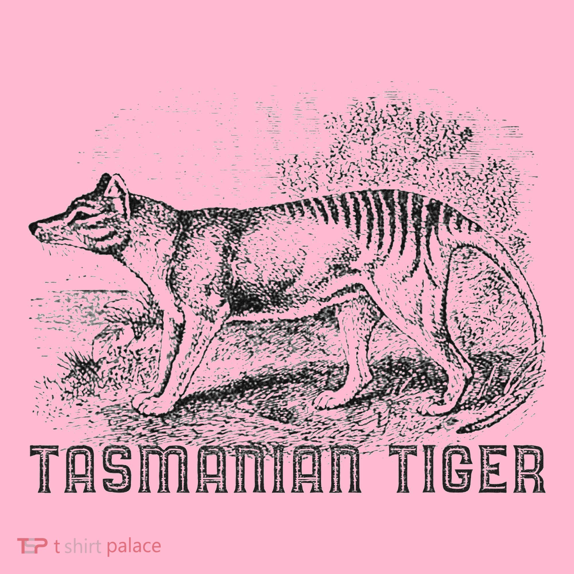 Tasmanian Wolf Tiger Thylacine Australian Extinction Gift Coaster