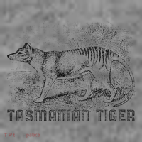 Tasmanian Wolf Tiger Thylacine Australian Extinction Gift Toddler Hoodie thumb 2