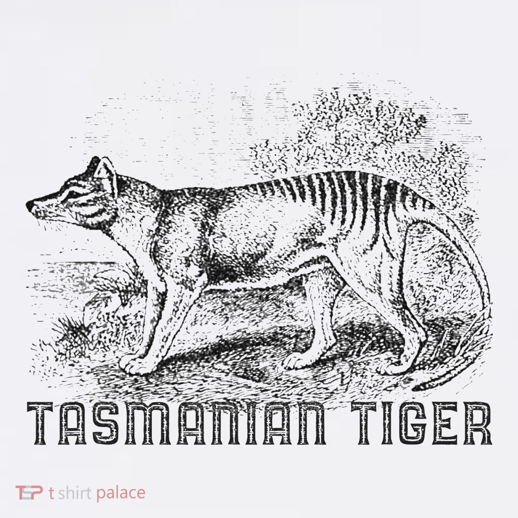 Tasmanian Wolf Tiger Thylacine Australian Extinction Gift Women's Hoodie