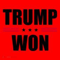 Trump Won Santa Hat thumb 1