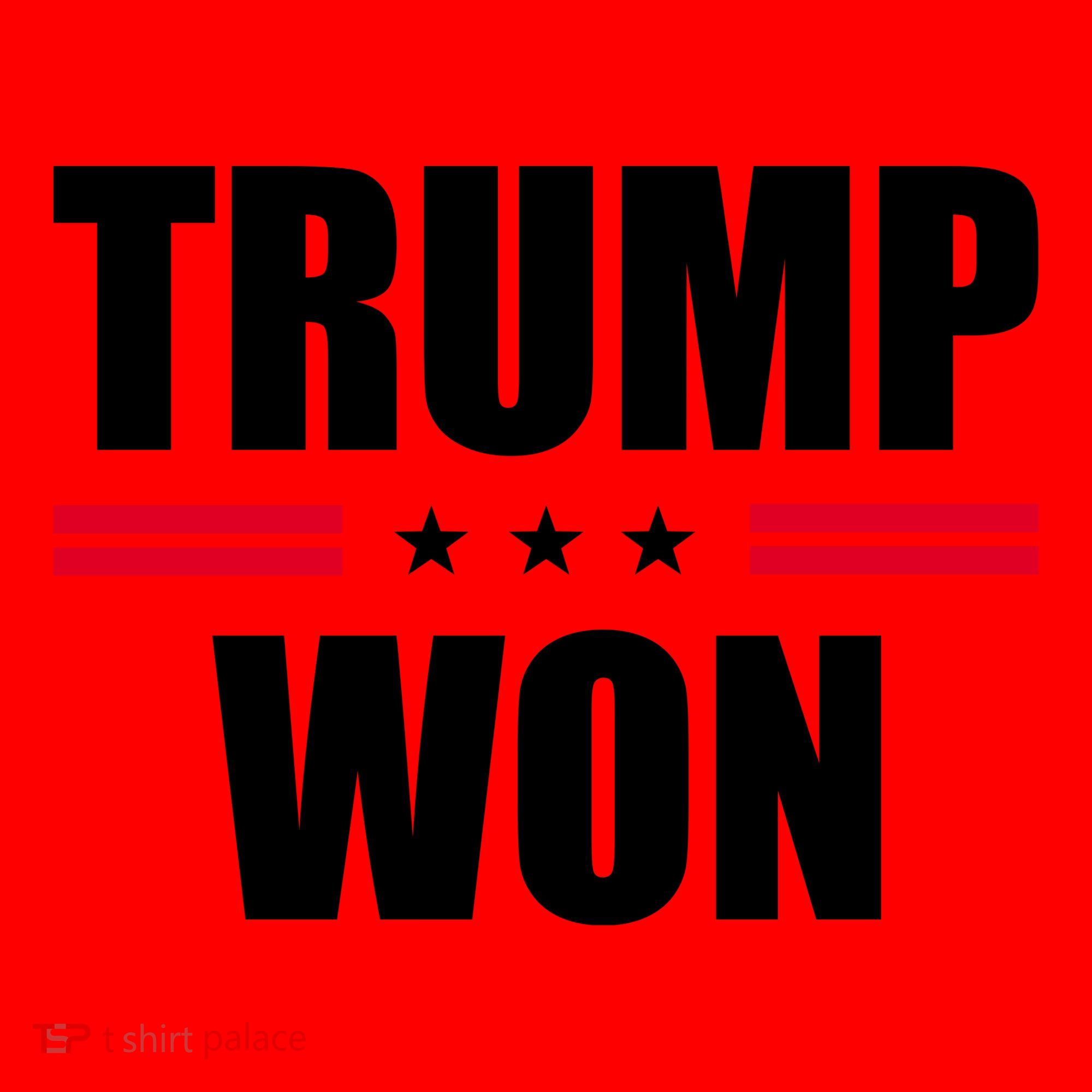 Trump Won Santa Hat