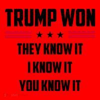 Trump Won They Know It I Know It You Know It Santa Hat thumb 1