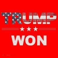 Trump Won Santa Hat thumb 1