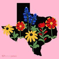 Texas Wildflowers With Bluebonnets Coaster thumb 2