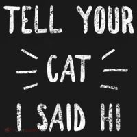 Tell Your Cat I Said Hi Funny Cat Lover Long Sleeve Shirt thumb 2