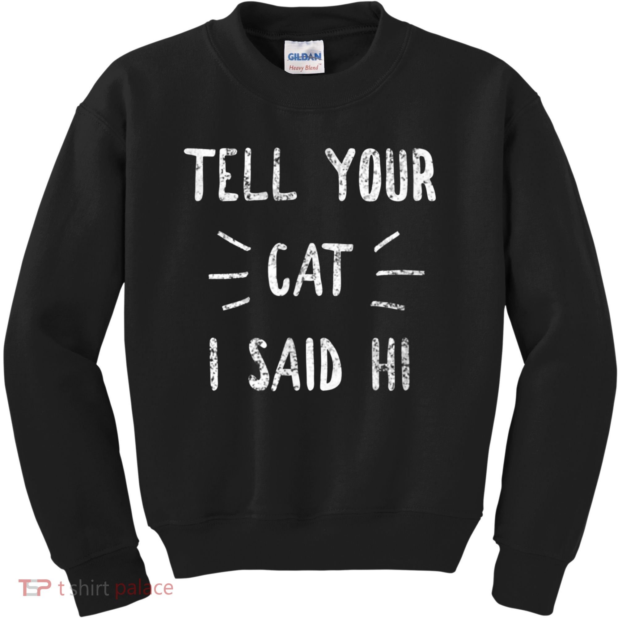 Tell Your Cat I Said Hi Funny Cat Lover Kids Sweatshirt