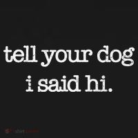 Tell Your Dog I Said Hi Funny Dog Walker Animal Friends Women's Hoodie thumb 2