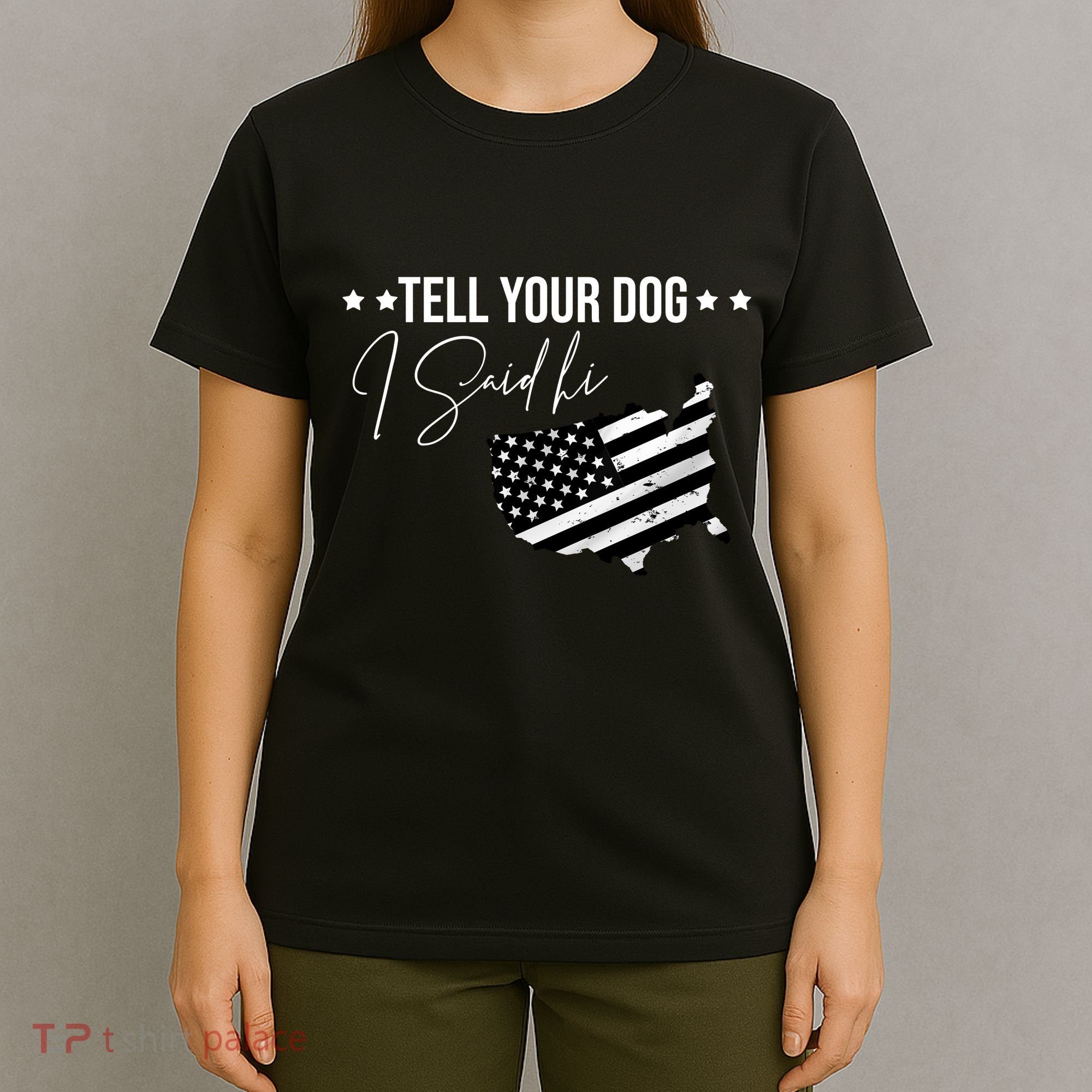 Tell Your Dog I Said Hi Grey Style American Flag T-Shirt