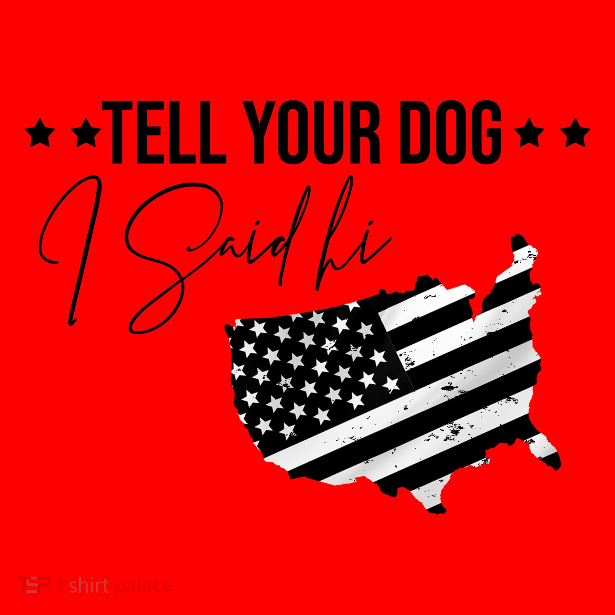 Tell Your Dog I Said Hi Grey Style American Flag Santa Hat