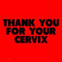 Thank You For Your Cervix Funny Adult Humor Santa Hat thumb 1