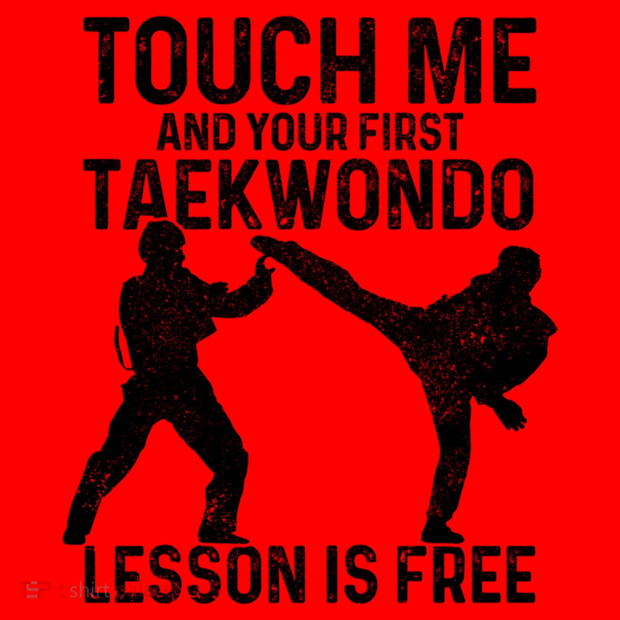 Taekwondo Your First Lesson Is Free Funny Martial Artist Gift Santa Hat