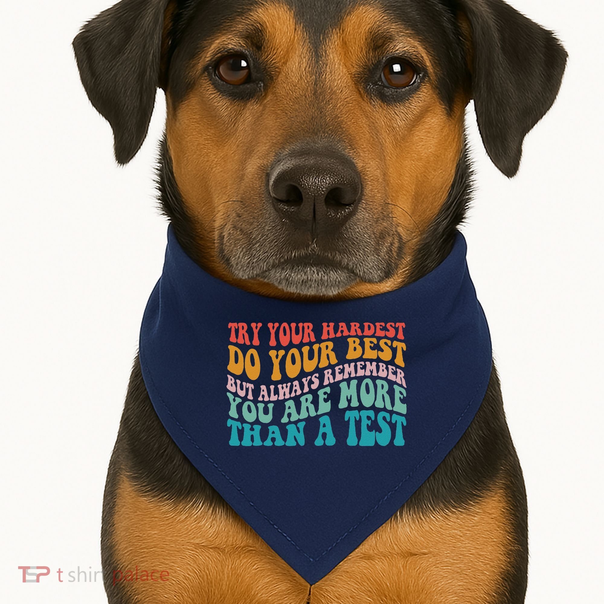 Try Your Hardest Do Your Best Teacher Te Day USA-Made Doggie Bandana