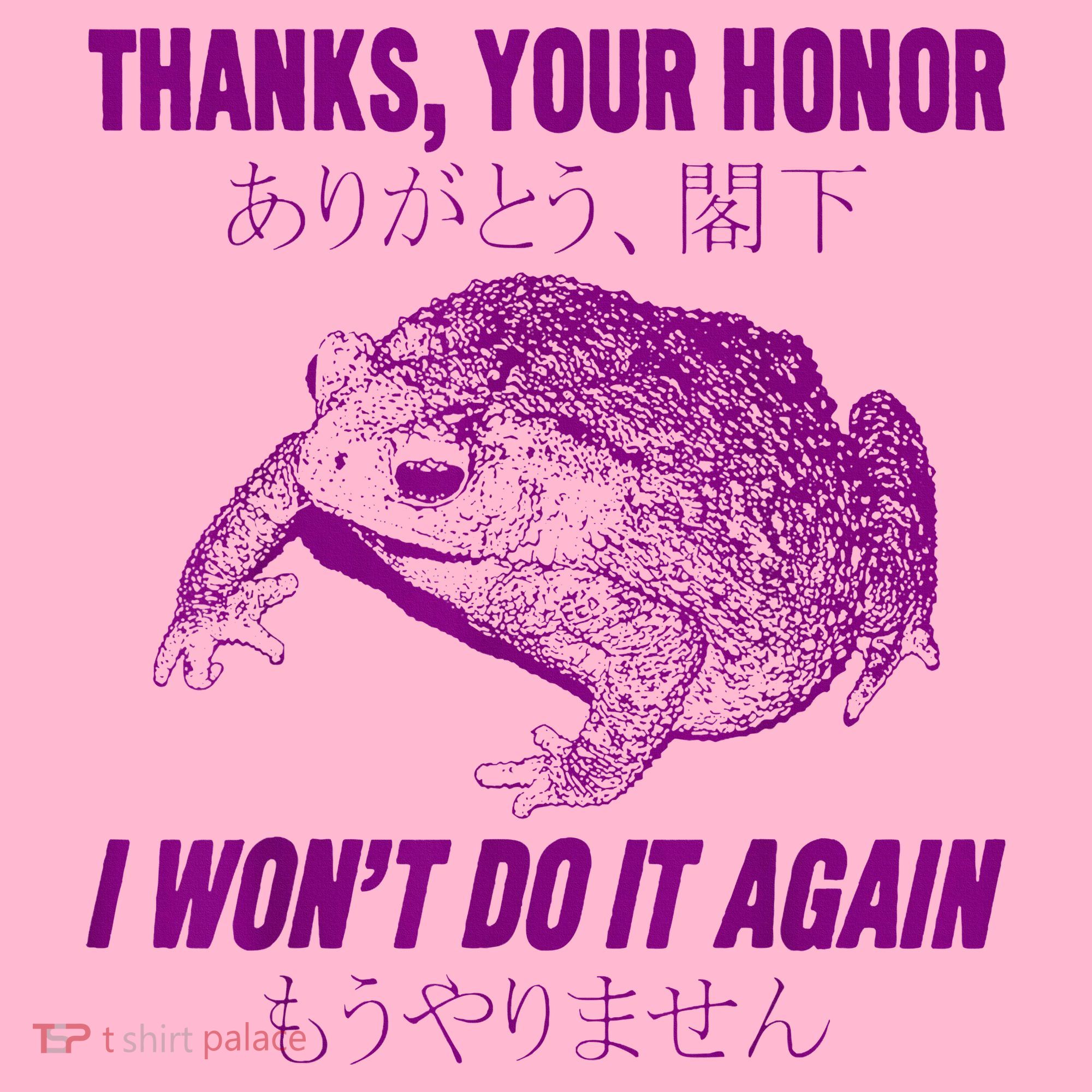 Thanks Your Honor I WonT Do It Again Frog Coaster