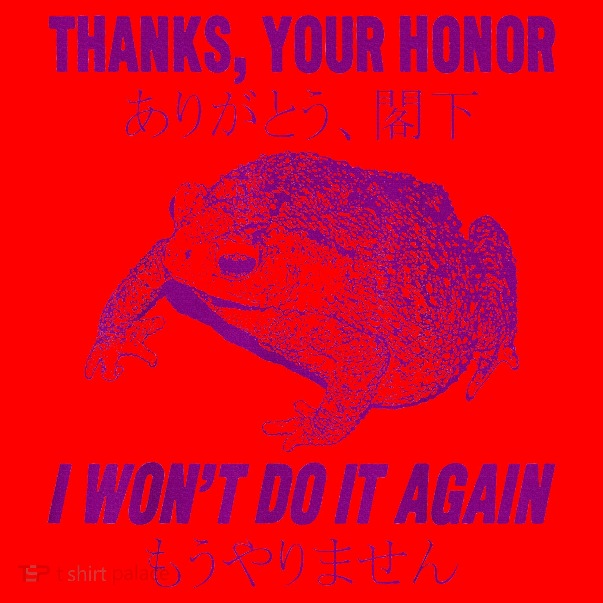 Thanks Your Honor I WonT Do It Again Frog Santa Hat