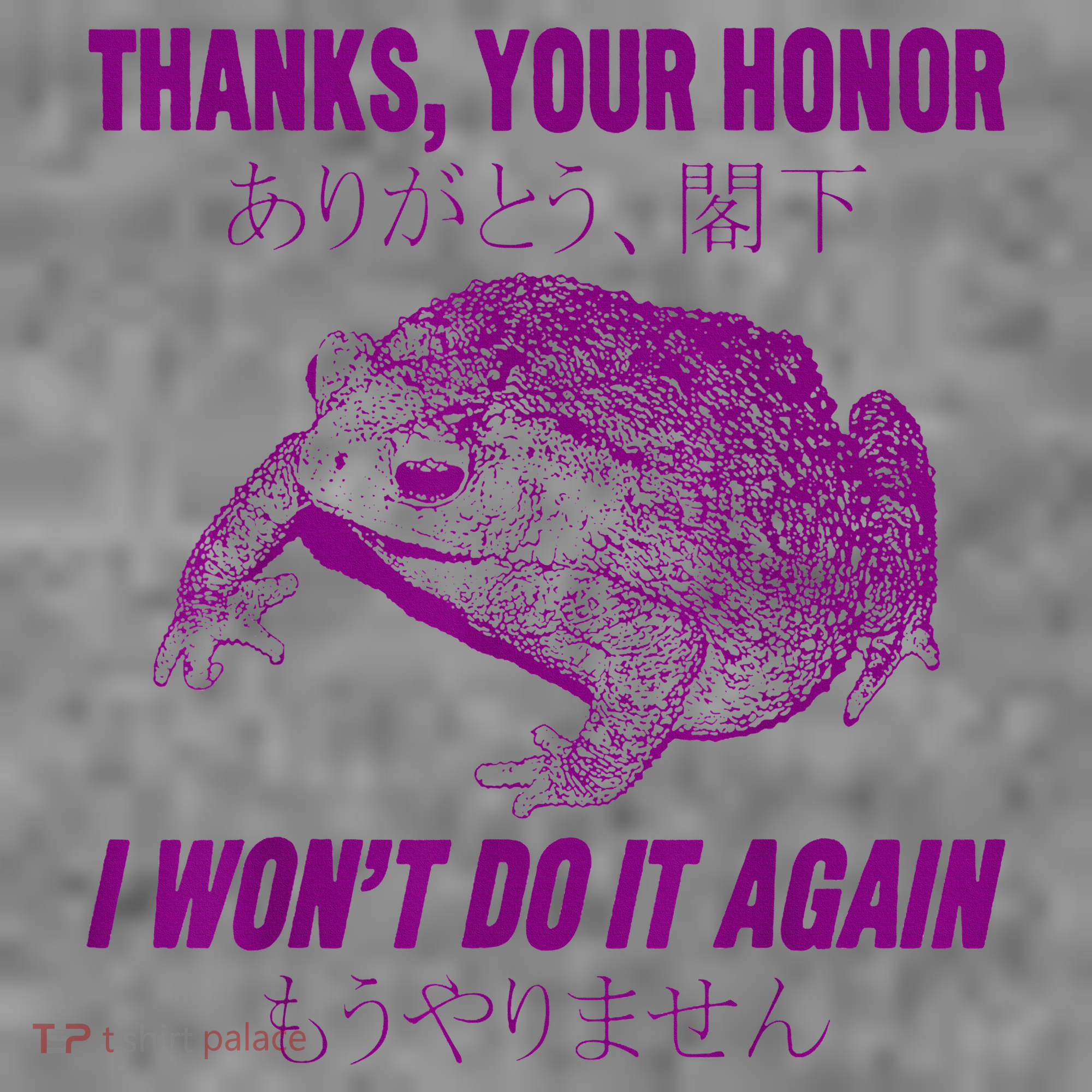 Thanks Your Honor I WonT Do It Again Frog Toddler Hoodie