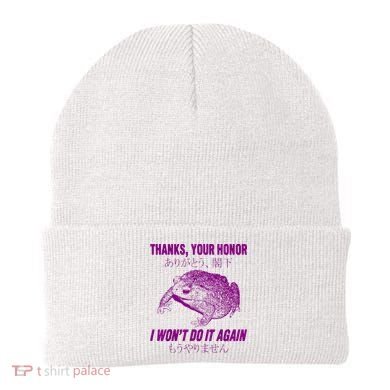Thanks Your Honor I WonT Do It Again Frog Beanie
