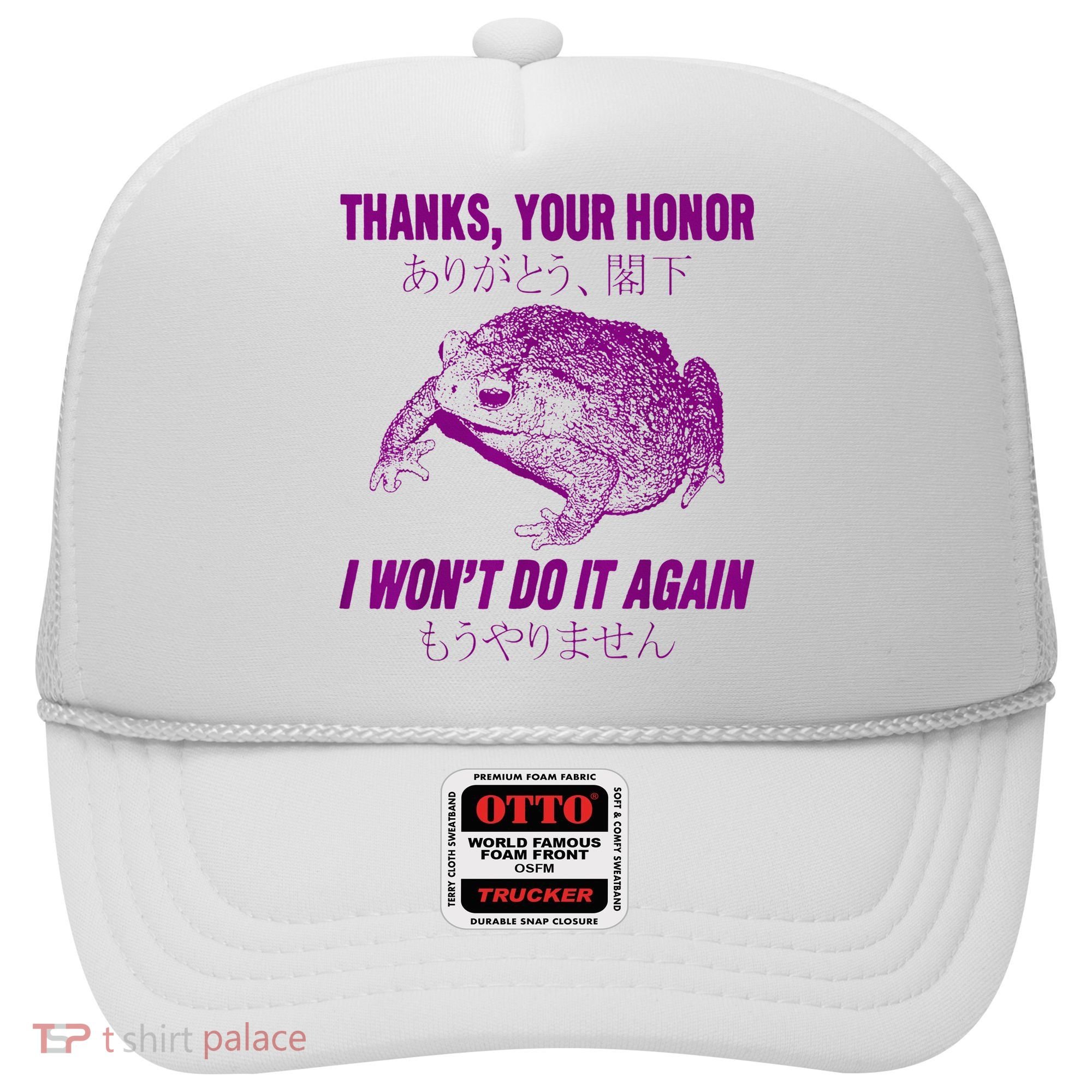 Thanks Your Honor I WonT Do It Again Frog Hat