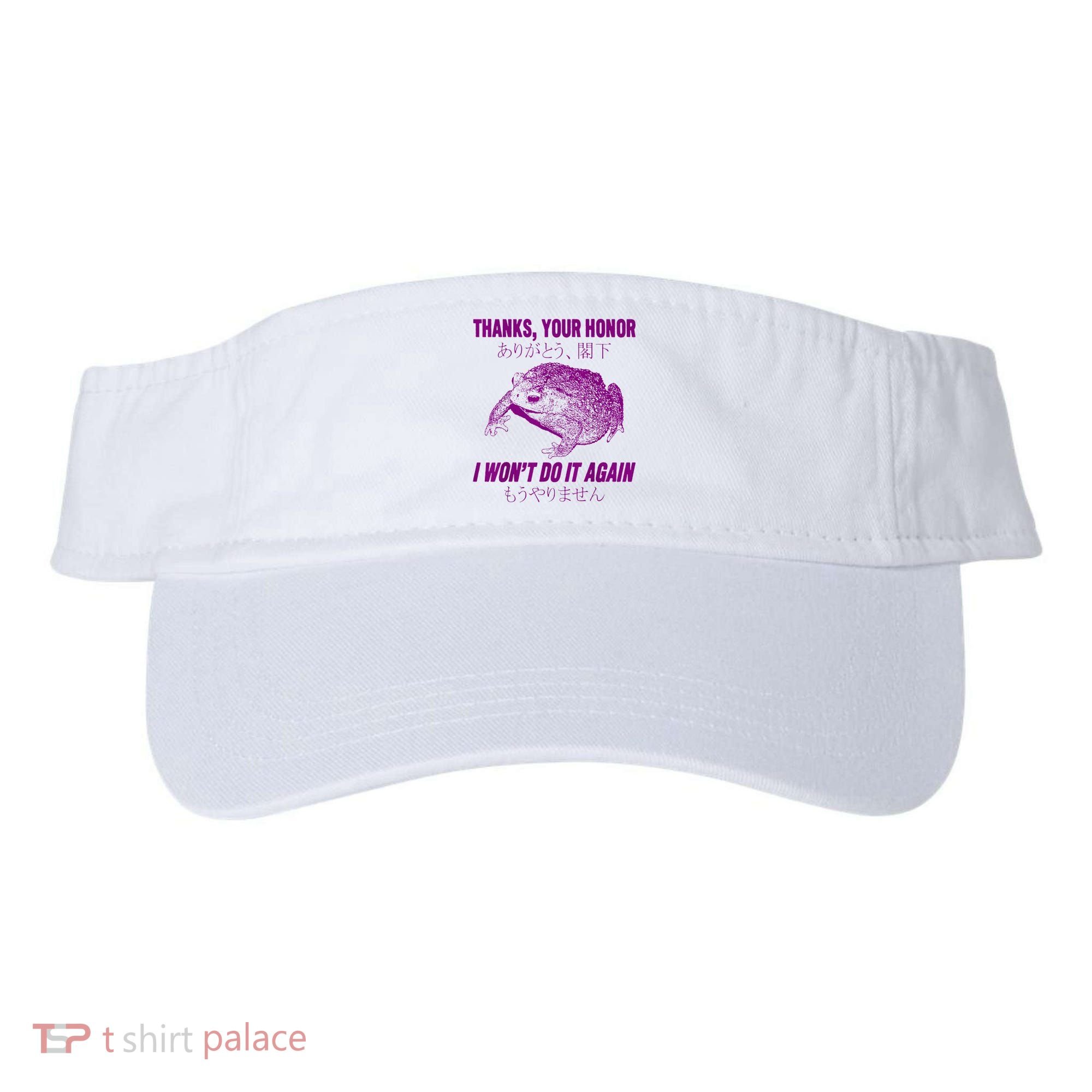 Thanks Your Honor I WonT Do It Again Frog Visor