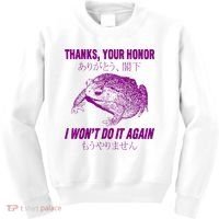 Thanks Your Honor I WonT Do It Again Frog Kids Sweatshirt thumb 0