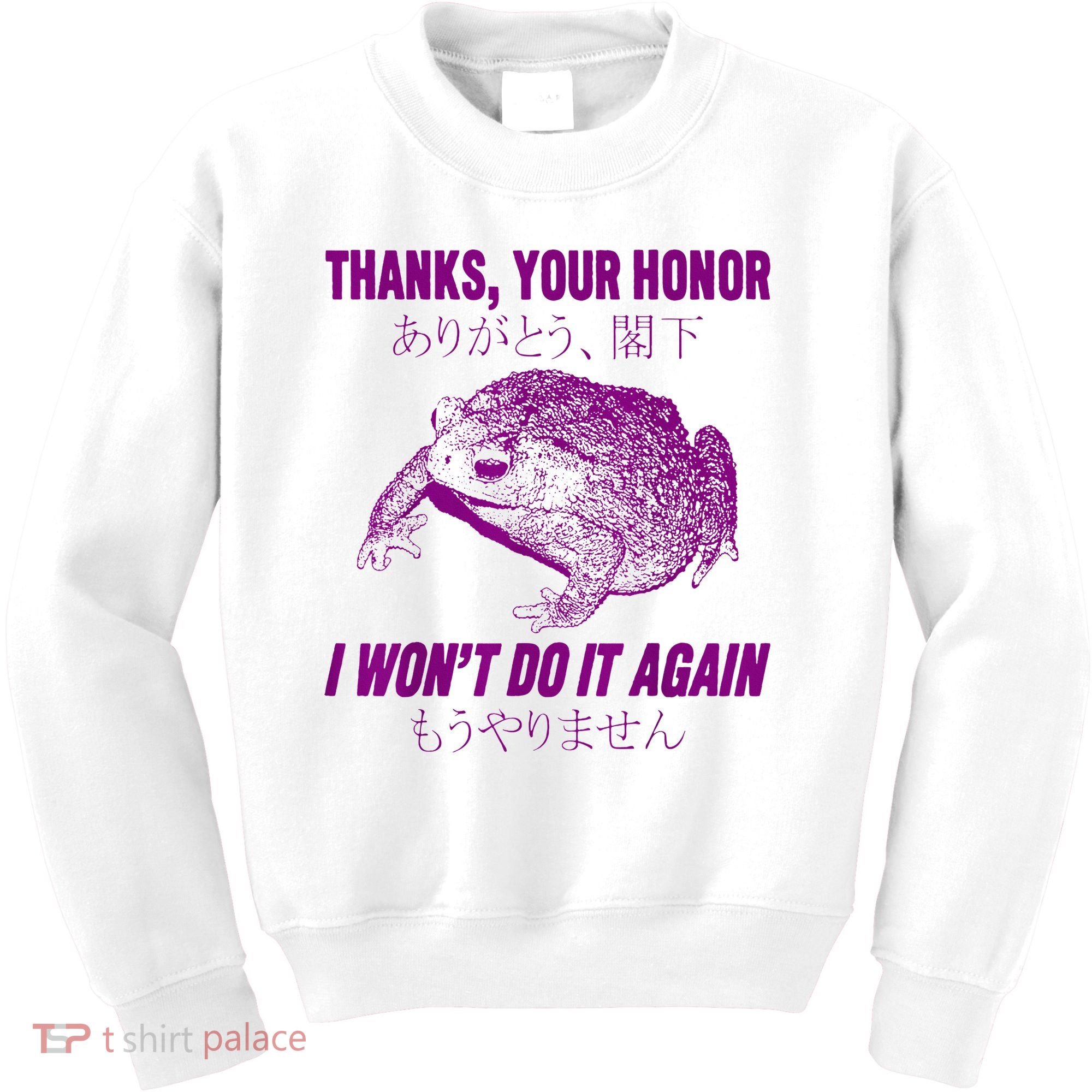 Thanks Your Honor I WonT Do It Again Frog Kids Sweatshirt