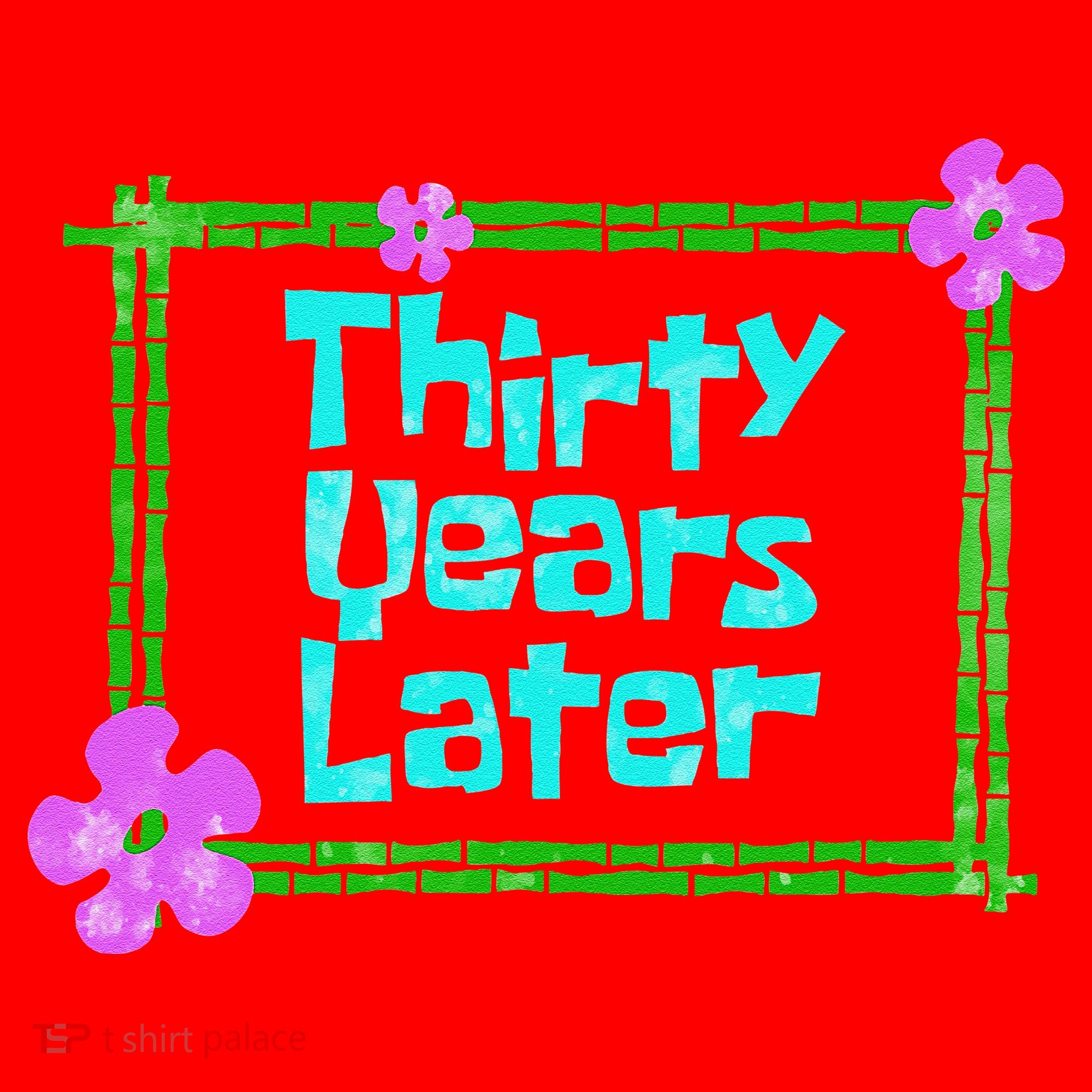 Thirty Years Later Funny 30 Year Old Birthday Party Santa Hat