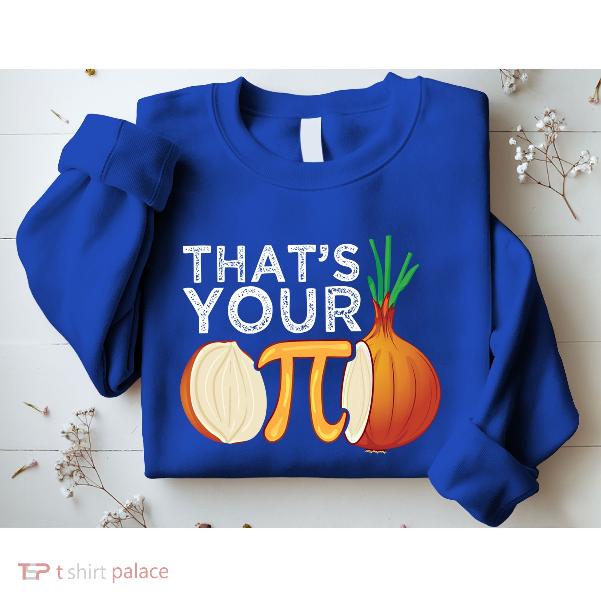 Thats Your Opinion Meme Pi Onion Pi Day Gift Sweatshirt