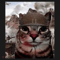 Thousand Yard Stare Funny Soldier Cat Meme In Battlefield Sweatshirt thumb 3