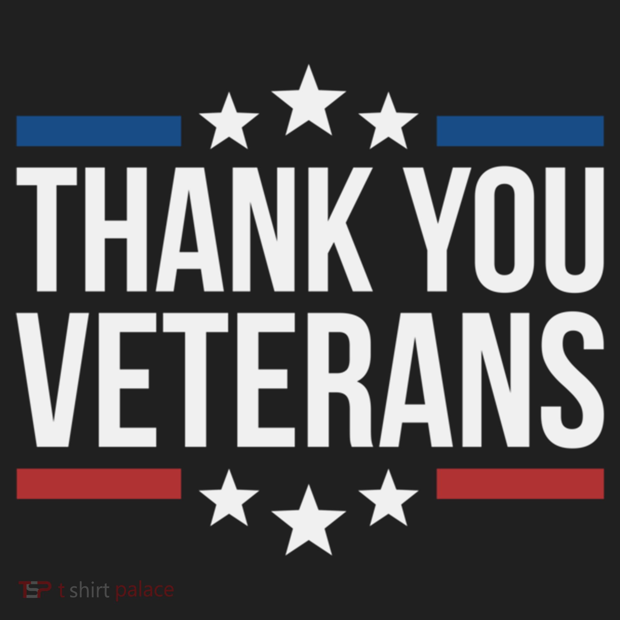Thank You Veterans Gift Women's Sweatshirt