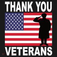 Thank You Veterans Gift Veterans Day Gift Women's Hoodie thumb 2