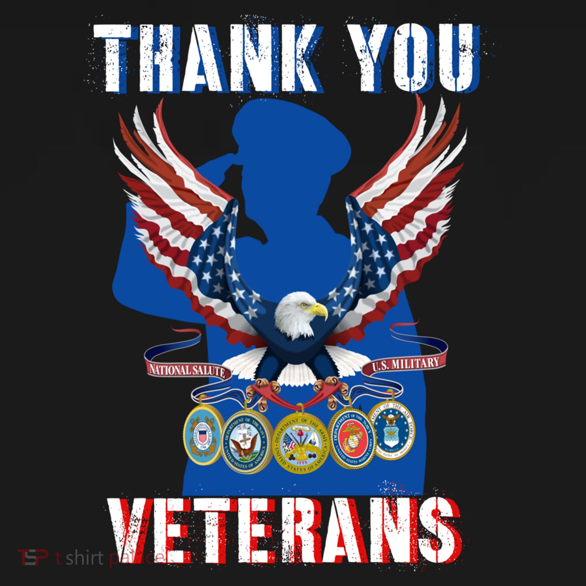 Thank You Veterans Combat Veteran Day American Flag Gift Women's Hoodie