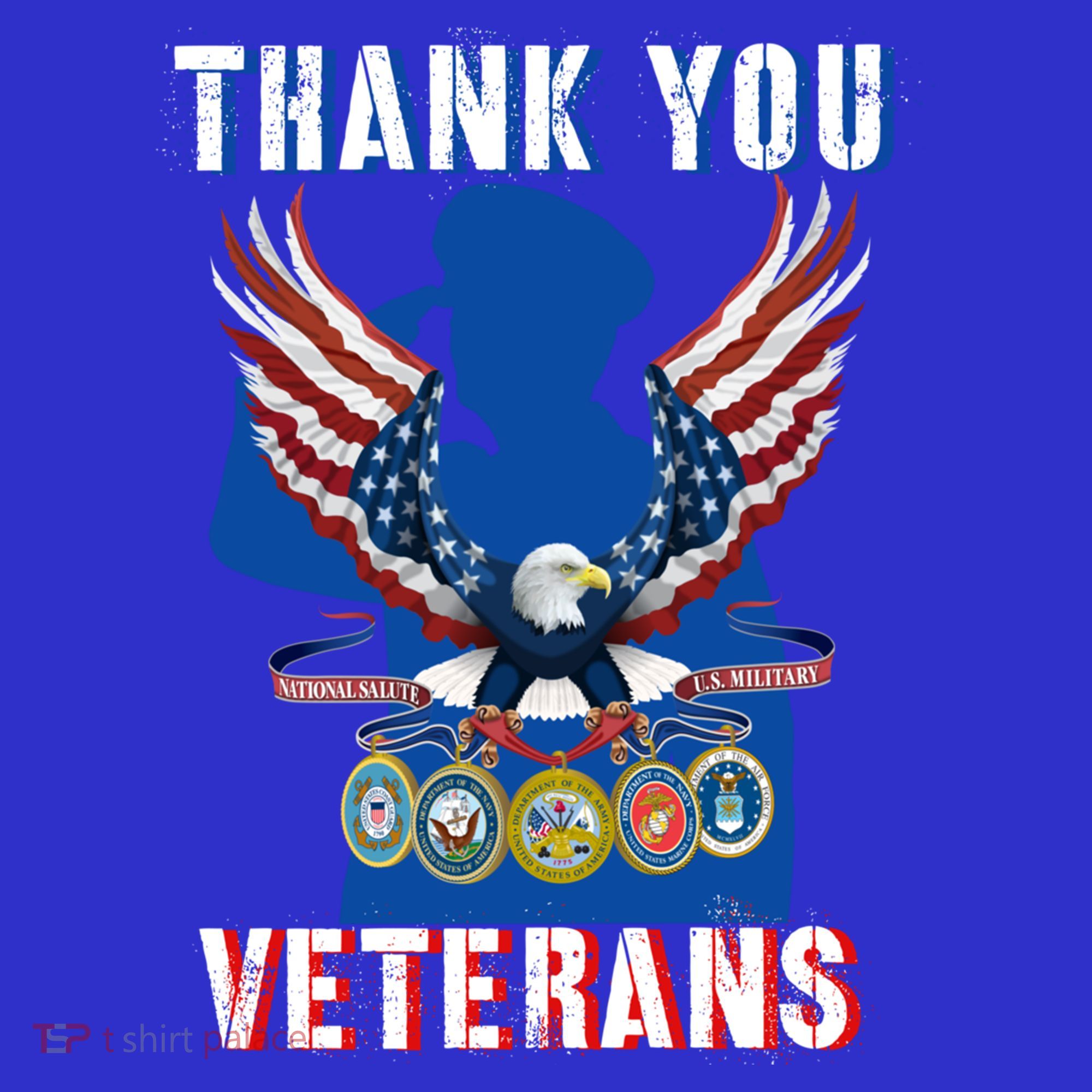 Thank You Veterans Combat Veteran Day American Flag Gift Long Sleeve Shirt
