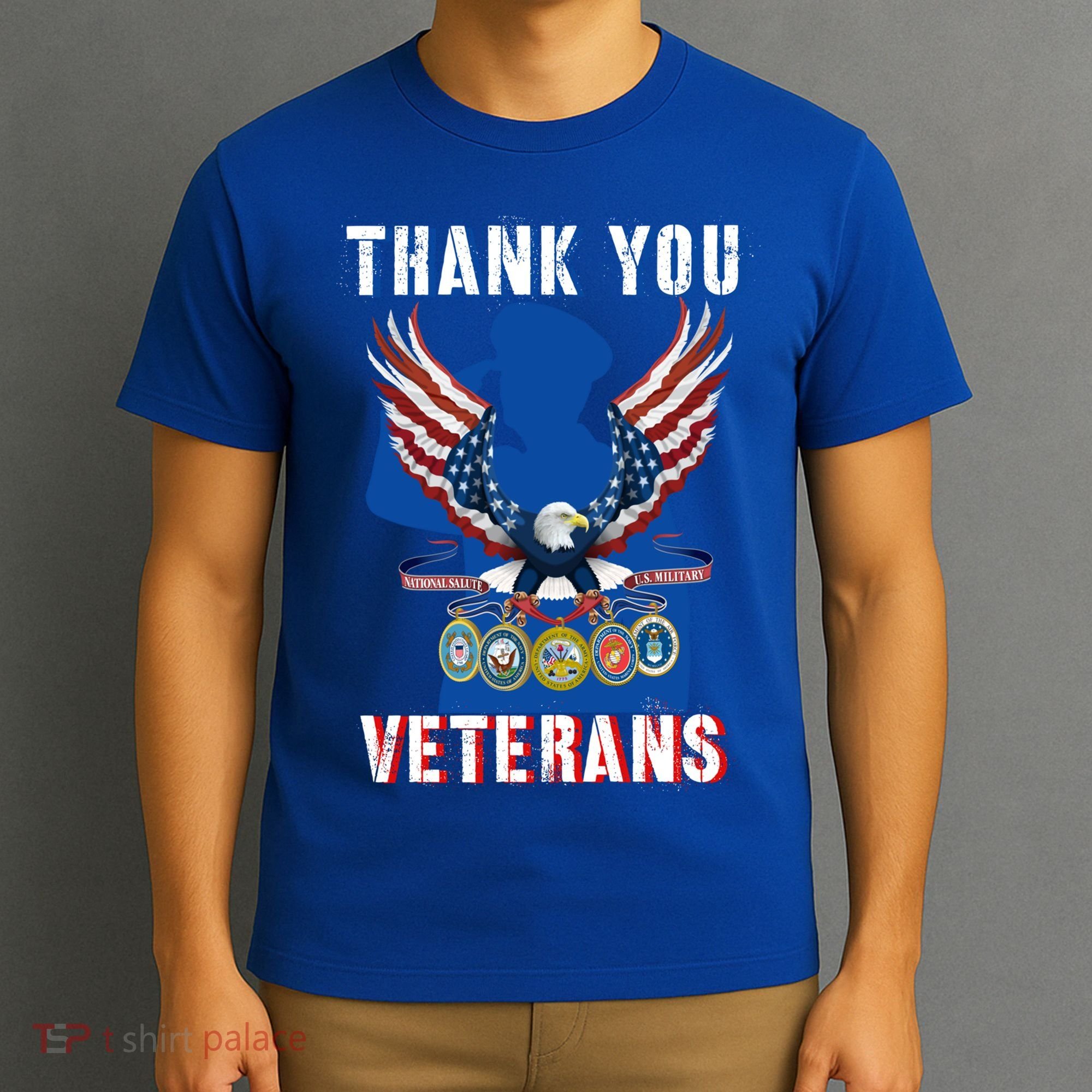 Thank You Veterans Combat Veteran Day American Flag Gift T-Shirt