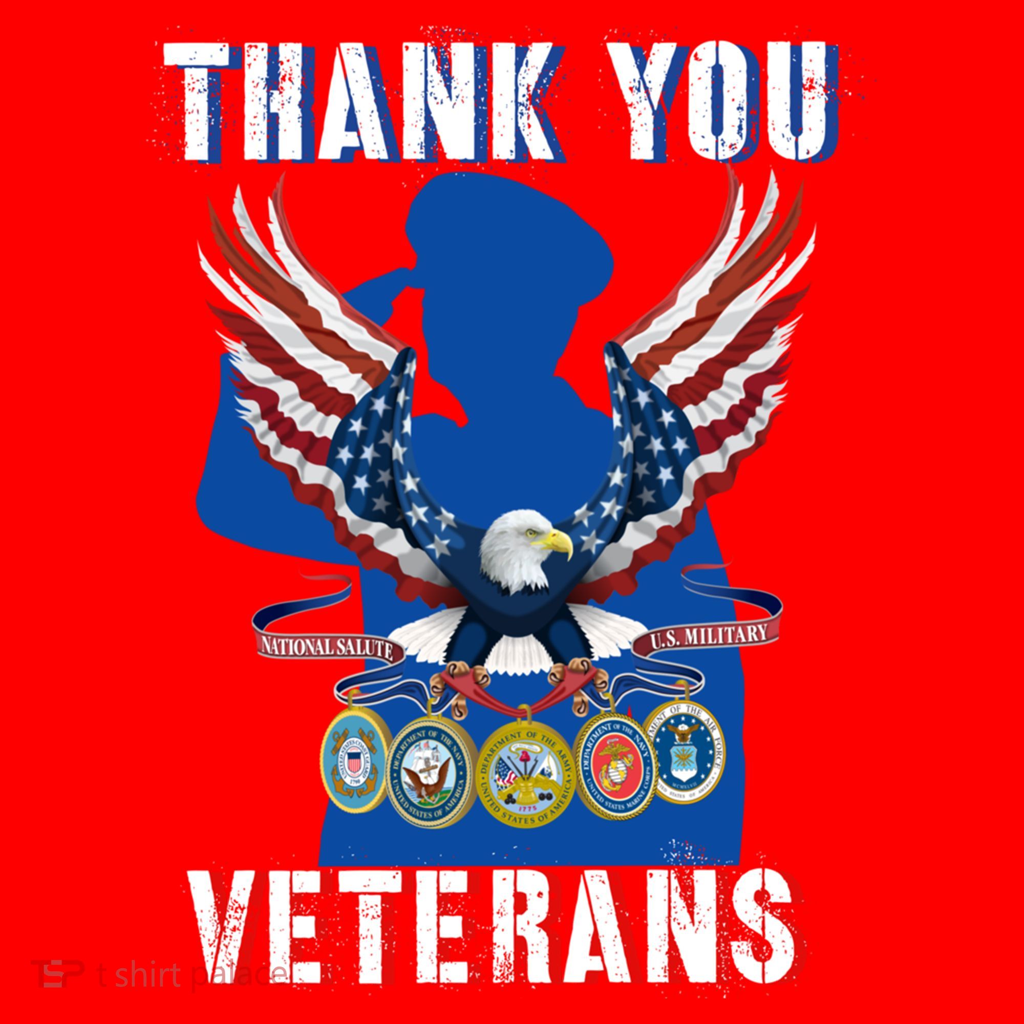 Thank You Veterans Combat Veteran Day American Flag Gift Santa Hat