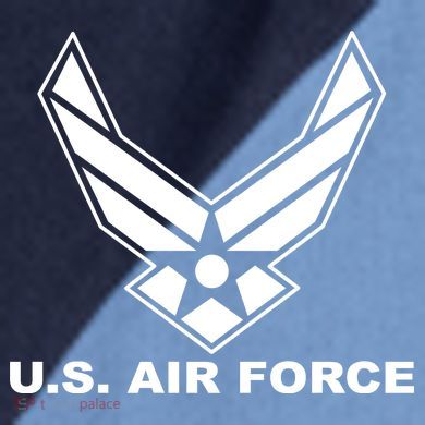 U.S. Air Force Logo Raglan Baseball Sleeve Shirt