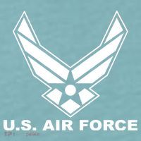 U.S. Air Force Logo Sueded Cloud Jersey T-Shirt thumb 2