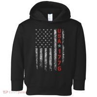 Usa 1776 Patriotic Independence Day Toddler Hoodie thumb 0
