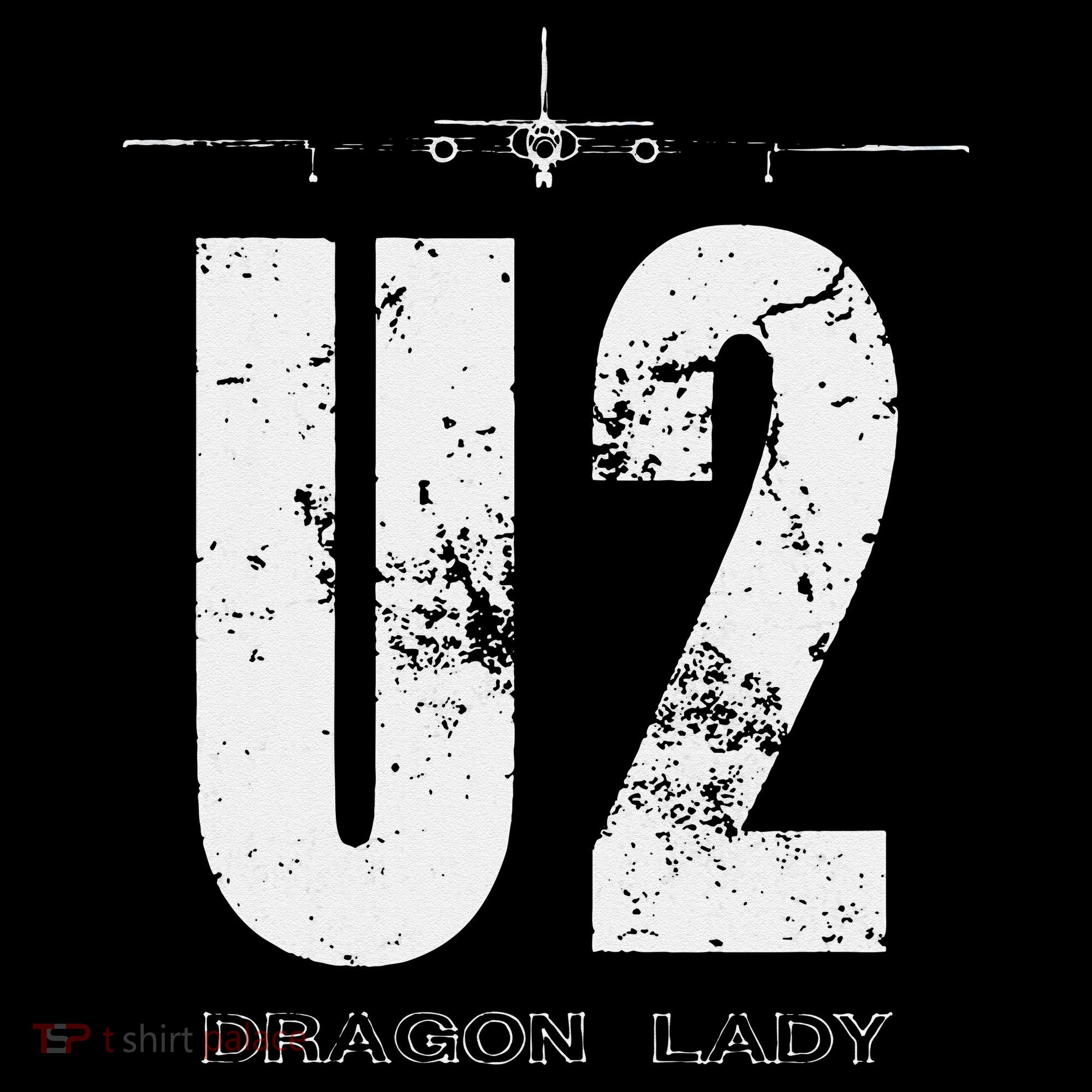 U 2 Dragon Lady Spy Plane Toddler Hoodie