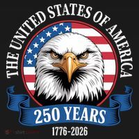 USA 250 Years Bald Eagle Patriotic 250th Anniversary Ornament thumb 1