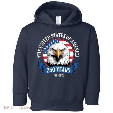 USA 250 Years Bald Eagle Patriotic 250th Anniversary Toddler Hoodie