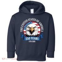 USA 250 Years Bald Eagle Patriotic 250th Anniversary Toddler Hoodie thumb 0