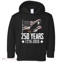 USA 250 Years Eagle 1776-2026 Flag Toddler Hoodie thumb 0