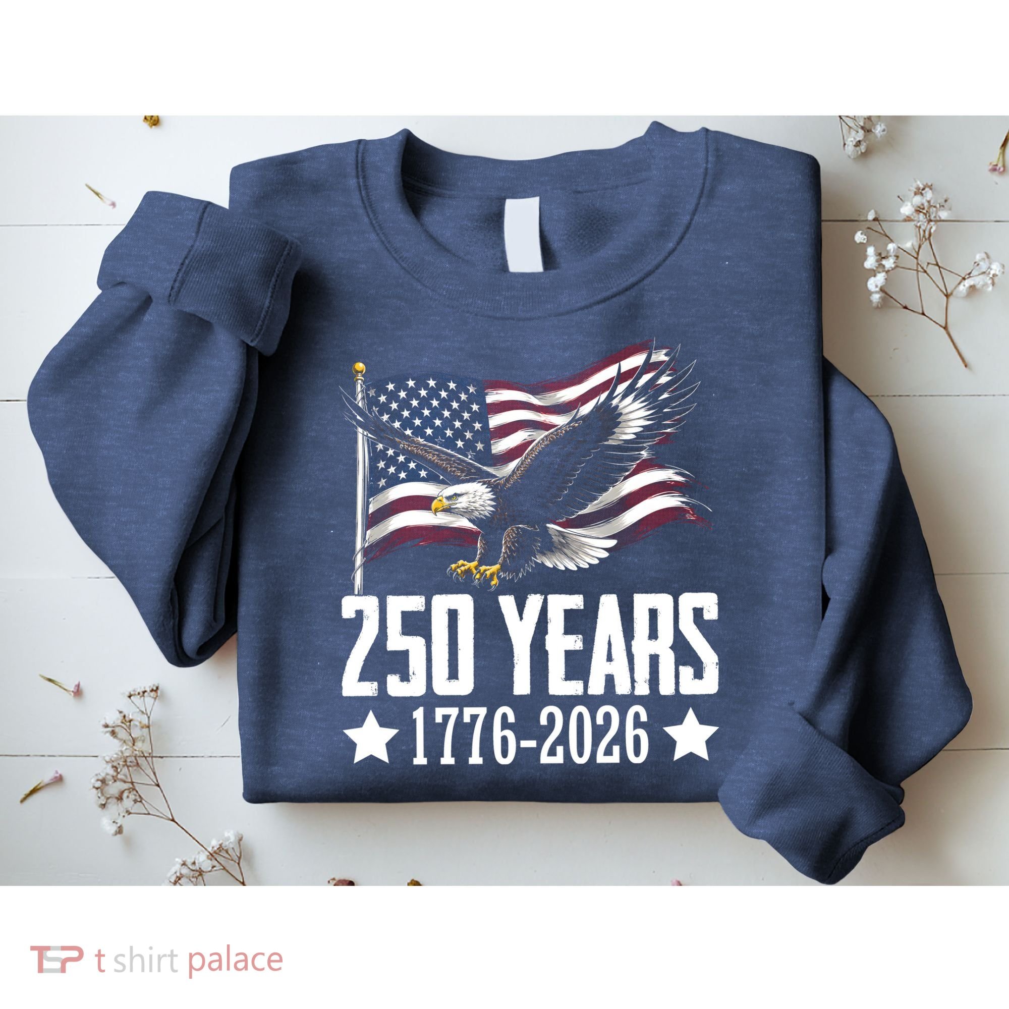 USA 250 Years Eagle 1776-2026 Flag Sweatshirt