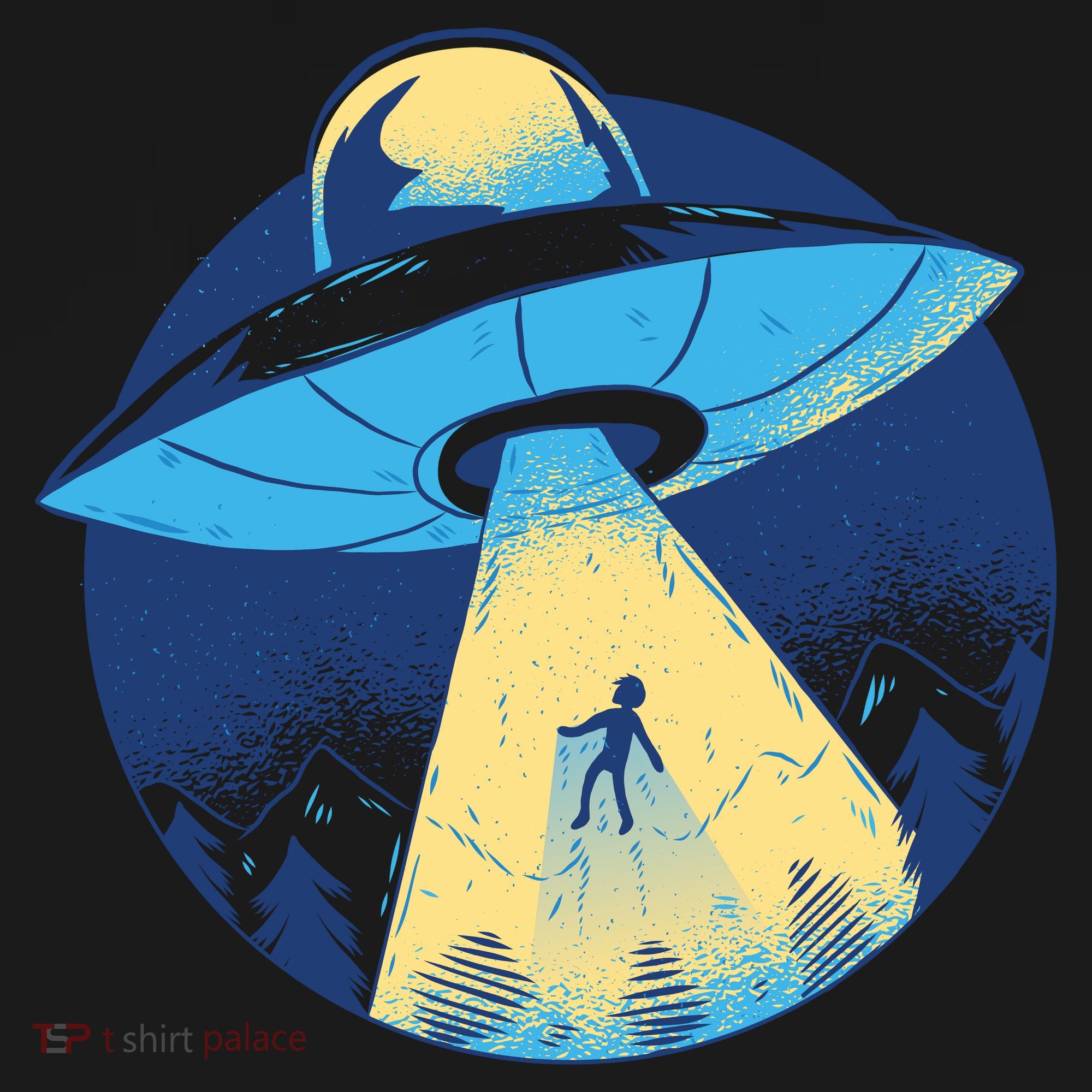 Ufo Alien Abduction Flying Saucer Area 51 Conspiracy Ornament