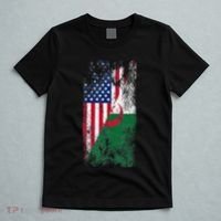 USA Algeria Flags United States of America Algerian T-Shirt thumb 5