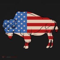 Usa American Flag Bison Buffalo Memorial 4th Of July Day Gift Women's Hoodie thumb 2