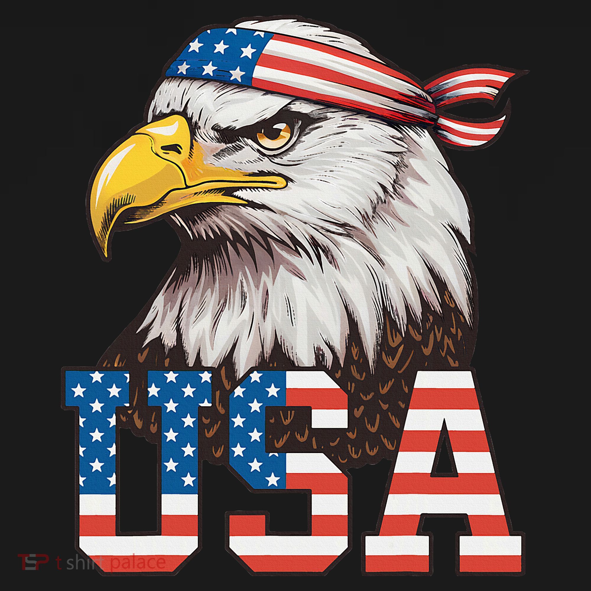 Usa American Flag Women Bald Eagle Patriotic Women's Hoodie