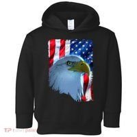 USA American Flag Eagle Distressed Style Toddler Hoodie thumb 0