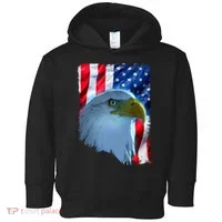 USA American Flag Eagle Distressed Style Toddler Hoodie thumb 0